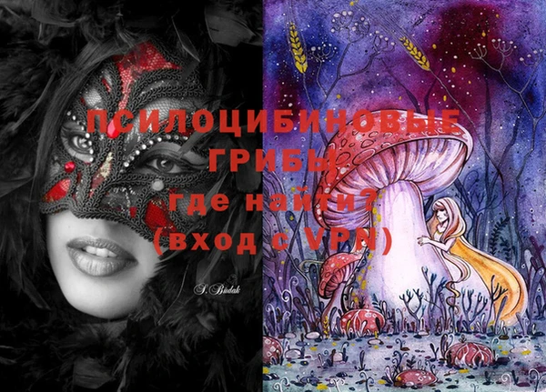 2c-b Саяногорск