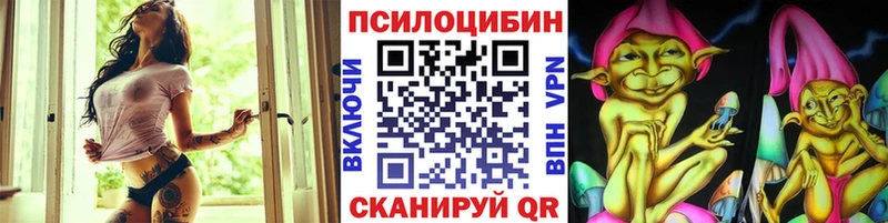 Купить  Унеча  Галлюциногенные грибы Psilocybe 